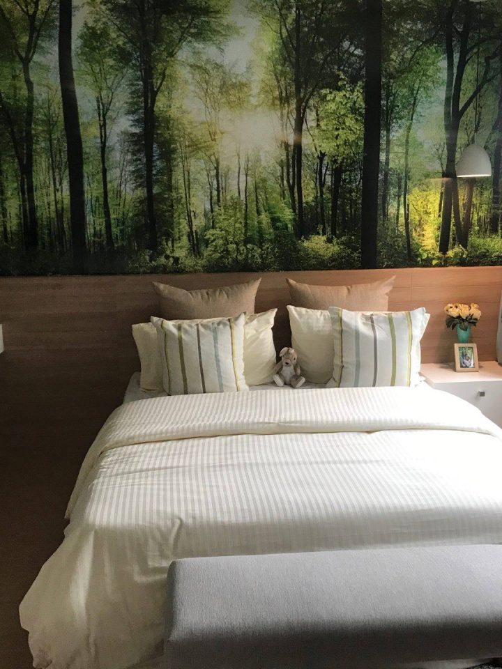 37784886_1897574823621434_7589055904629129216_n